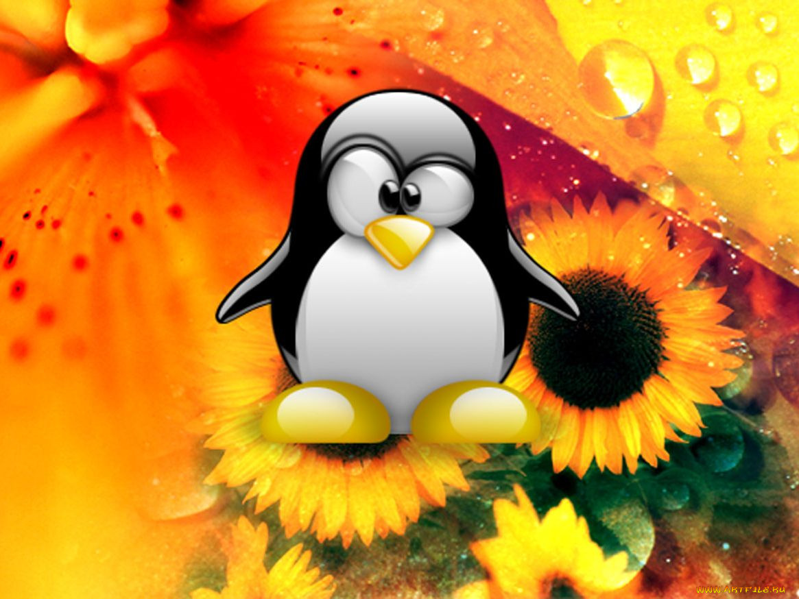 , linux